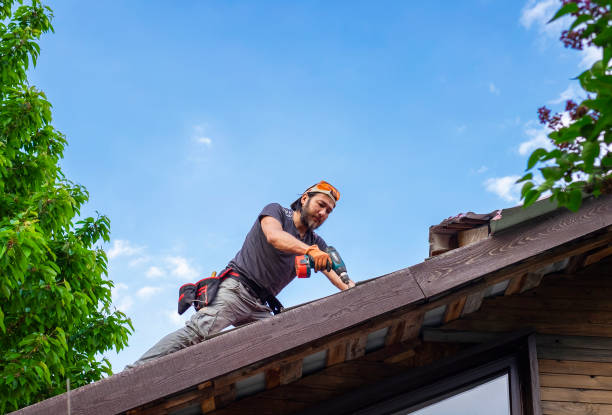 Best Roof Ventilation Installation  in Greenup, KY